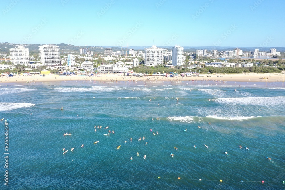 Fototapeta premium Maroochydore Cotton Tree