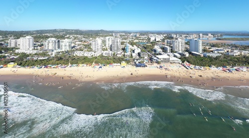 Maroochydore Cotton Tree photo