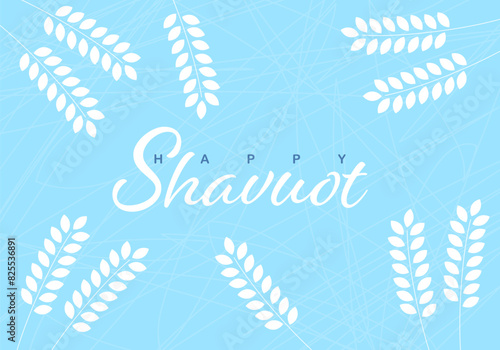 Happy Shavuot holiday design. Wheat field. Happy Shavuot! Wheat. Vector illustration. Concept of Judaic holiday Shavuot. Happy Shavuot in Jerusalem. Land of Israel wheat harvest greeting card