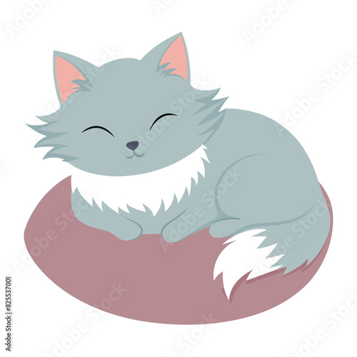 Fluffy cat sleeping on a pillow, white background