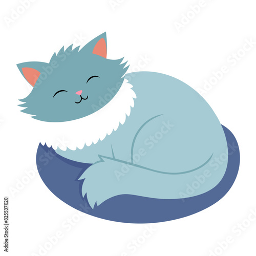 Fluffy cat sleeping on a pillow, white background