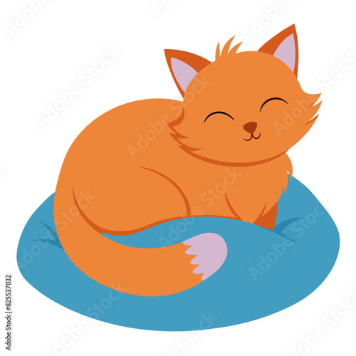 Fluffy cat sleeping on a pillow, white background