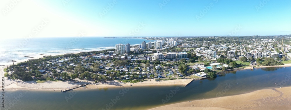 Fototapeta premium Maroochydore Cotton Tree