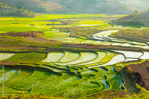 Rice terrasses fields of Madagascar