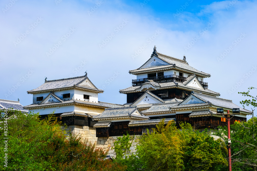 松山城 愛媛県観光