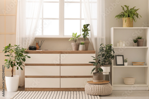 Interior of modern room with houseplants, window, shelving unit and chest of drawers © Pixel-Shot