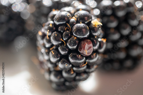 blackberry macro photo