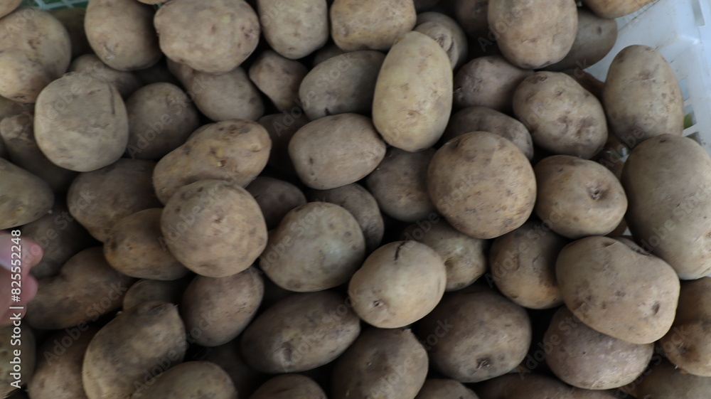 potatoes on the market in containers potatoes on the market in containers
