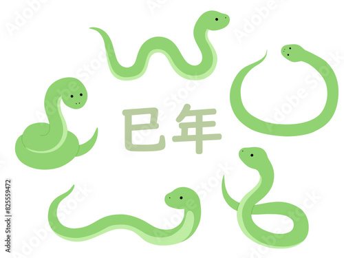 蛇のベクターイラストセット。干支、十二支、へび、年賀