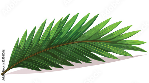 Full fresh leaf of sago palm tree sketch style vect