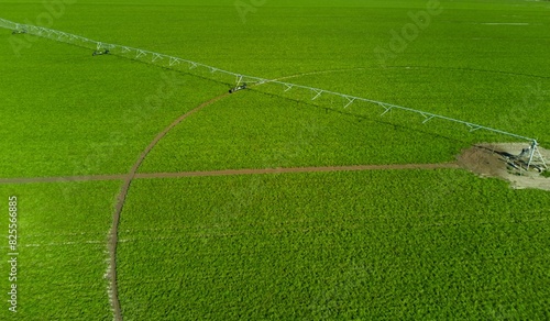 Soybean plantation, circular field with automated irrigation equipment.