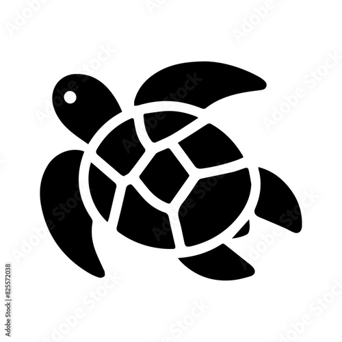 turtle 1