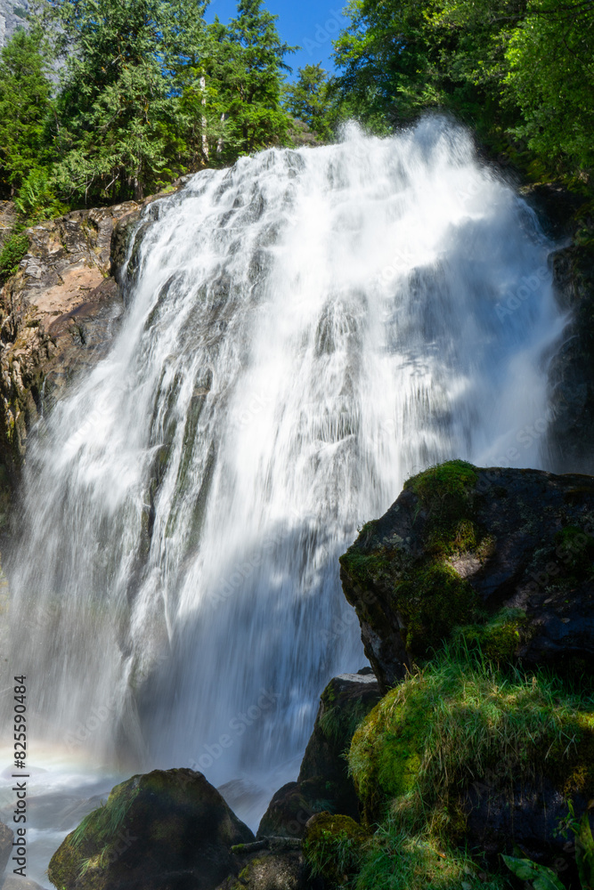 Obraz premium waterfall in the forest 