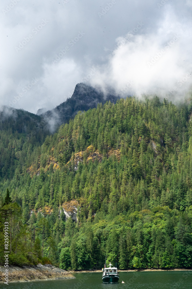 Green yacht in a forested mountain cove Green yacht in a forested mountain cove