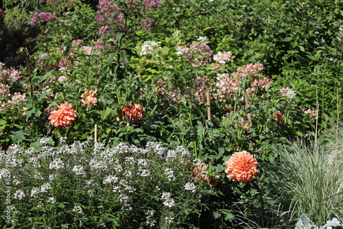 Canvastavla plethora of assorted flowers in assorted colors