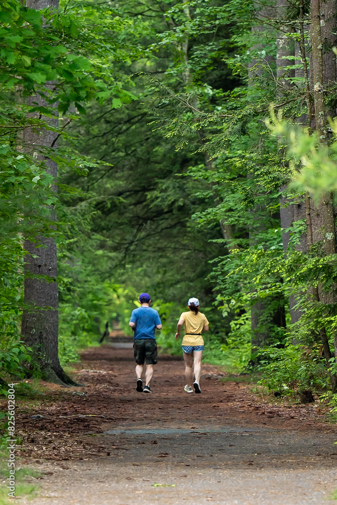 Obraz premium a couple running hiking in the woods