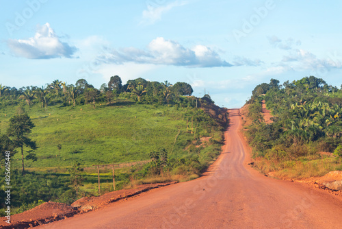 Unpaved section of BR-230 (Trans-Amazonian highway) in the brazilian Amazon region