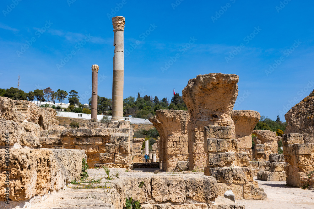 Fototapeta premium View of ruins Baths of Antoninus or Baths of Carthage, Tunisia