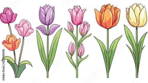 Set of colorful hand drawn tulip bouquets sketch st