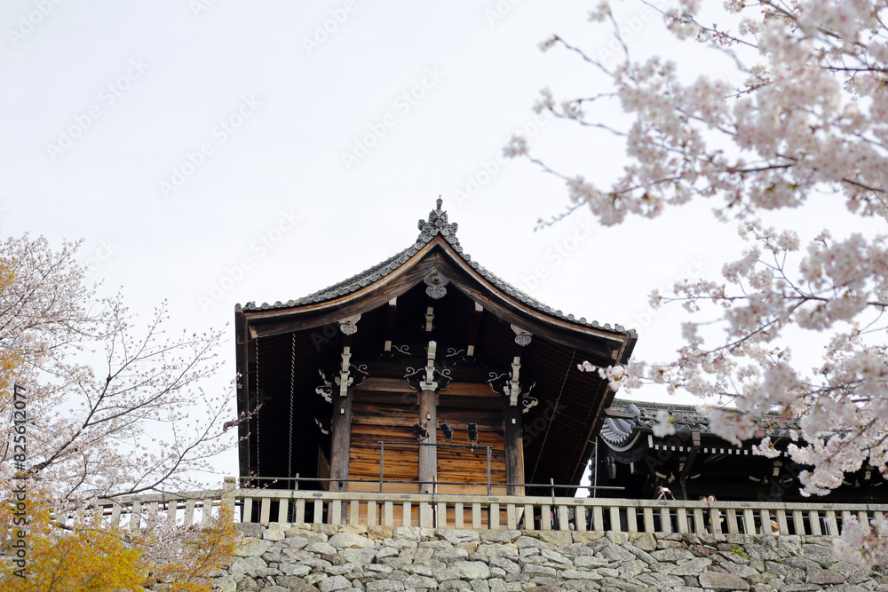Fototapeta premium Kiyomizu-dera temple in Kyoto, Japan