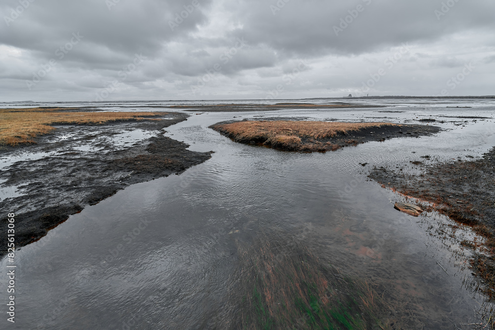 Affluent river reaching the beach in iceland Affluent river reaching the beach in iceland