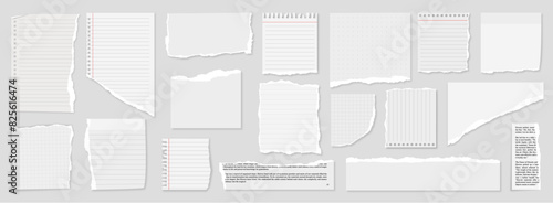 ripped block grid and rulled paper pages torn blocks