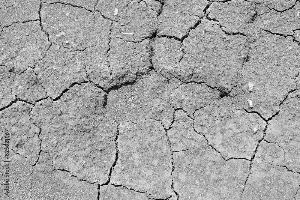 Fototapeta premium Wall texture soil dry crack pattern of drought lack of water of nature brown old broken background.
