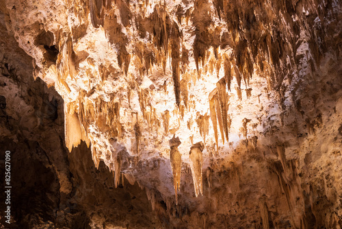 Rock formations in Carlsbad Caverns National Park, New Mexico  © Martina