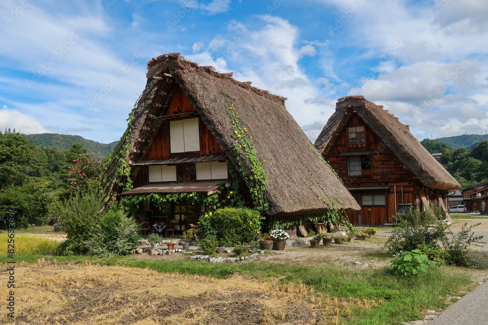 Obraz premium 世界遺産の白川郷の合掌造り集落