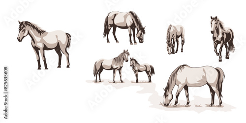 A sketch of horses grazing in a meadow, vector illustration