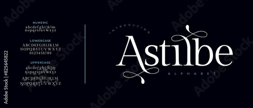 Astilbe premium luxury elegant alphabet letters and numbers. Vintage wedding typography classic serif font decorative vintage retro. creative vector illustration