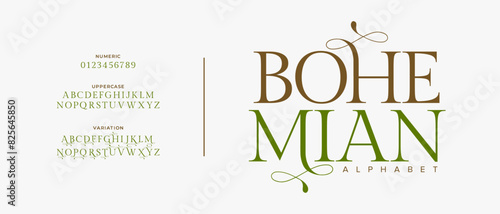 Bohemian premium luxury elegant alphabet letters and numbers. Vintage wedding typography classic serif font decorative vintage retro. creative vector illustration