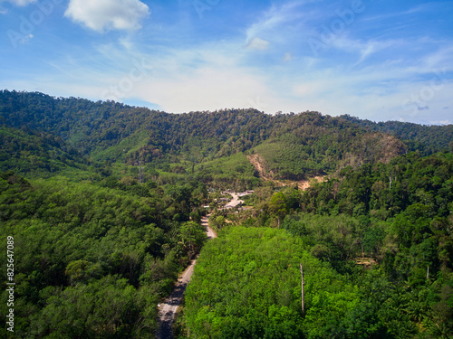 Green forest in the mountain against blue sky