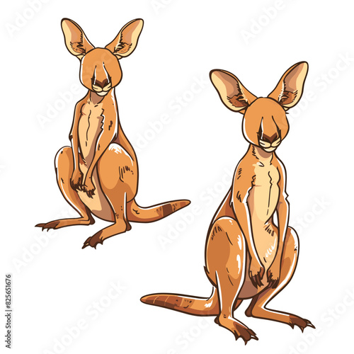 A group of friendly kangaroos