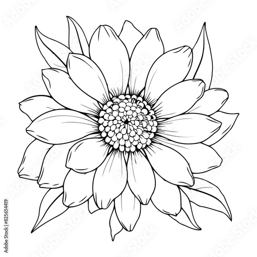Clean line sunflower icon for coloring. photo