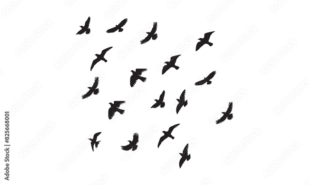 Flying Birds Vector And Illustration. Flying Birds Vector And Illustration.