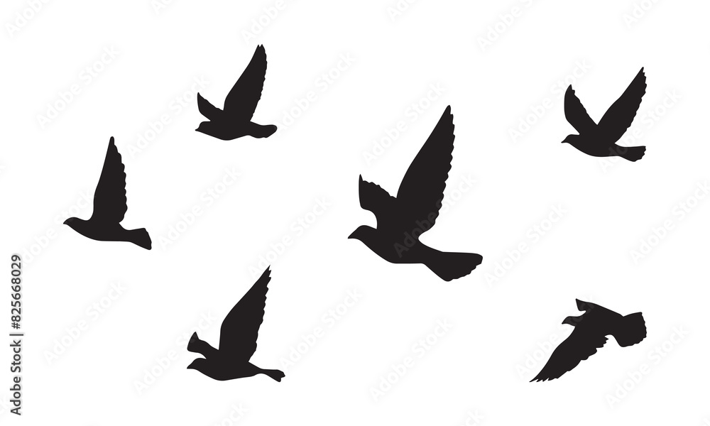 Flying Birds Vector And Illustration. Flying Birds Vector And Illustration.