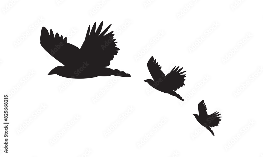 Obraz premium Flying Birds Vector And Illustration. 