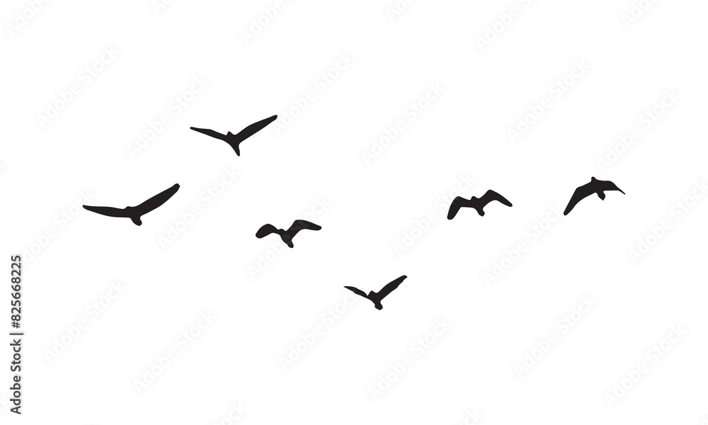 Flying Birds Vector And Illustration. Flying Birds Vector And Illustration.