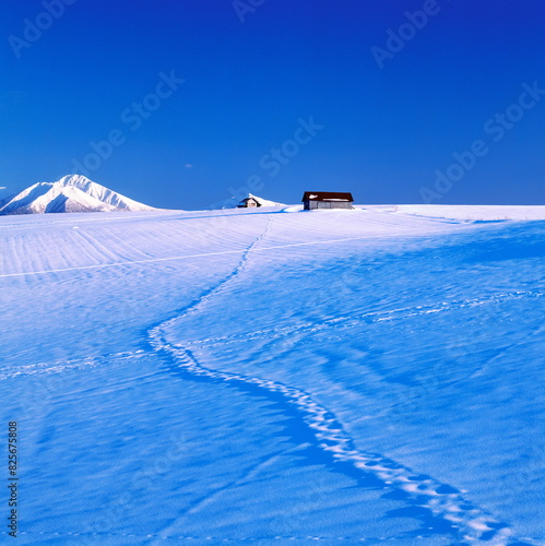 雪原の足跡の軌跡（美瑛町）