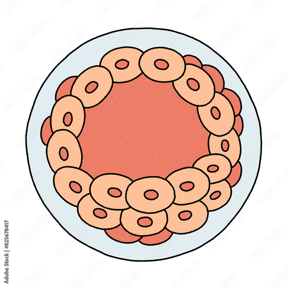 Blastocyst draw