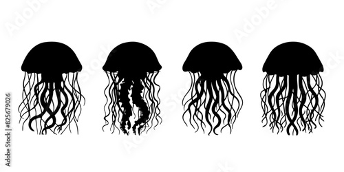 a black and white image of a jellyfish with a black outline.
