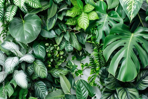 Vertical wall plant background.