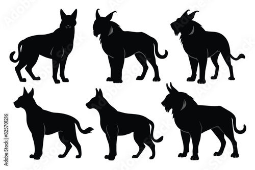 Set of Balkan Lynx animal black silhouette vector on white background