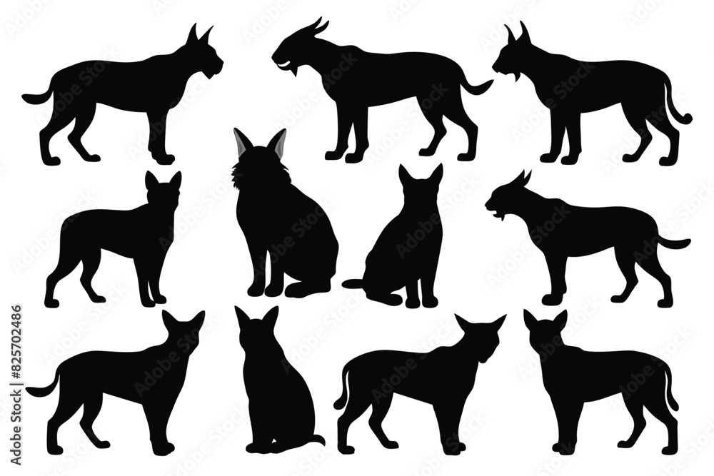 Set of Balkan Lynx animal black silhouette vector on white background