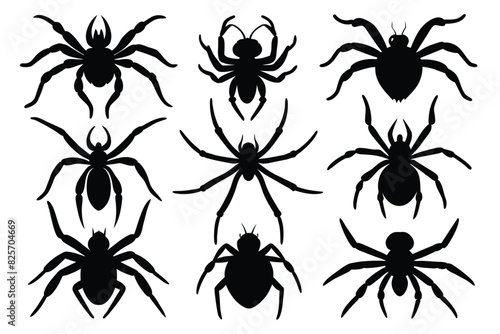 Set of Banana Spider animal black silhouette vector on white background