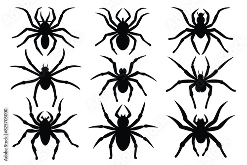 Set of Banana Spider animal black silhouette vector on white background © mobarok8888