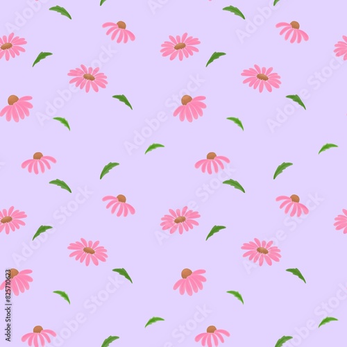seamless pattern with coneflower purple background