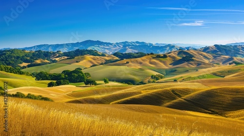A scenic view of rolling hills and golden fields under a clear blue sky, characteristic of the idyllic summer season.