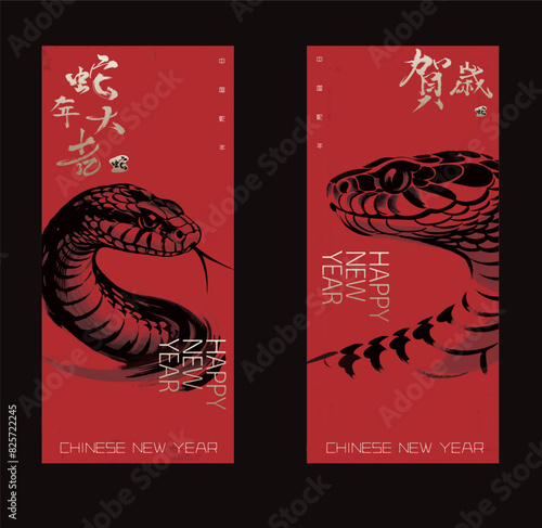 Traditional Chinese Year of the Snake illustration vector 2025, Asian elements, ink style(Translation: Snake Zodiac 2025 Happy New Year)